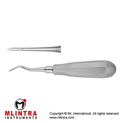 Howard Root Elevator Fig. 1 Stainless Steel, Standard Howard Root Elevator Fig. 1 Stainless Steel, Standard